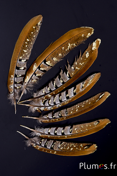 Faisan vénéré paillettes - 15-20 cm - naturel